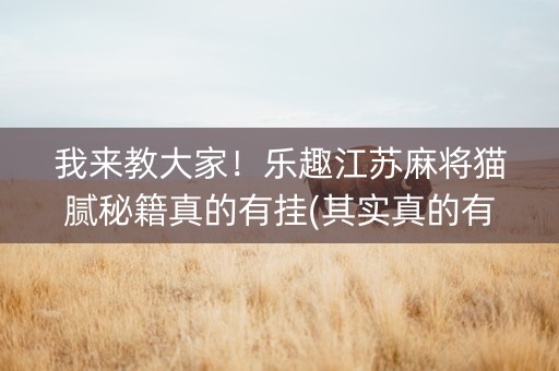 我来教大家！乐趣江苏麻将猫腻秘籍真的有挂(其实真的有挂)