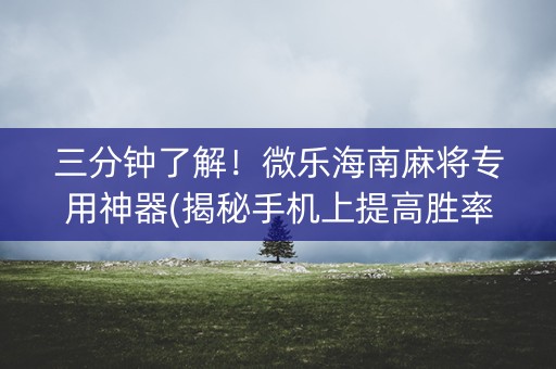 三分钟了解！微乐海南麻将专用神器(揭秘手机上提高胜率)