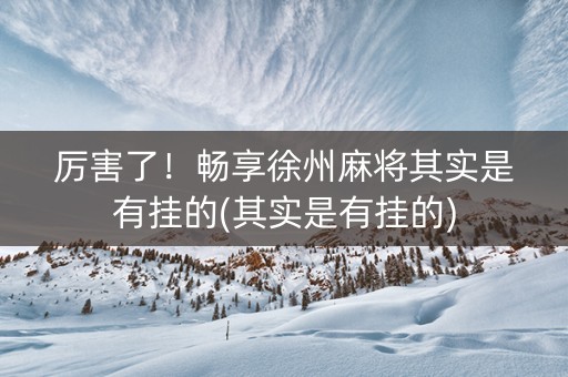 厉害了！畅享徐州麻将其实是有挂的(其实是有挂的)