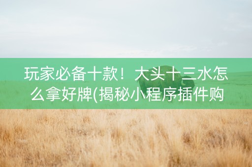 玩家必备十款！大头十三水怎么拿好牌(揭秘小程序插件购买)