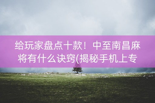 给玩家盘点十款！中至南昌麻将有什么诀窍(揭秘手机上专用神器下载)