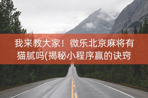 我来教大家！微乐北京麻将有猫腻吗(揭秘小程序赢的诀窍)