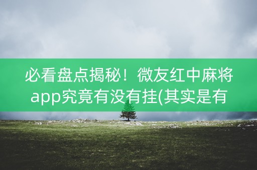必看盘点揭秘！微友红中麻将app究竟有没有挂(其实是有挂的)