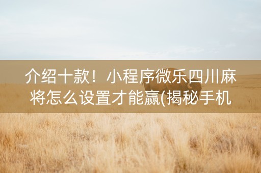 介绍十款！小程序微乐四川麻将怎么设置才能赢(揭秘手机上助赢神器购买)