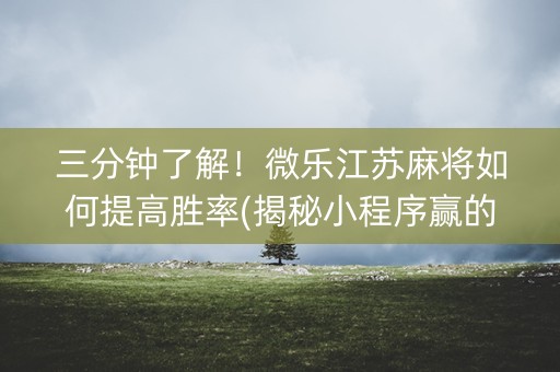 三分钟了解！微乐江苏麻将如何提高胜率(揭秘小程序赢的诀窍)