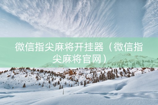 微信指尖麻将开挂器（微信指尖麻将官网）
