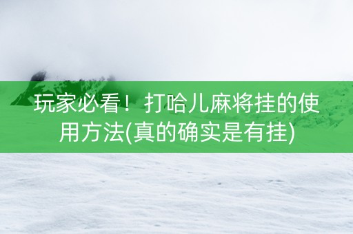 玩家必看！打哈儿麻将挂的使用方法(真的确实是有挂)