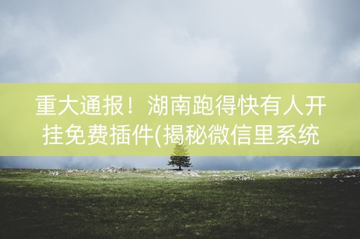 重大通报！湖南跑得快有人开挂免费插件(揭秘微信里系统发好牌)