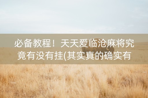 必备教程！天天爱临沧麻将究竟有没有挂(其实真的确实有挂)