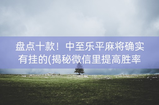盘点十款！中至乐平麻将确实有挂的(揭秘微信里提高胜率)