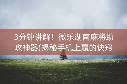 3分钟讲解！微乐湖南麻将助攻神器(揭秘手机上赢的诀窍)
