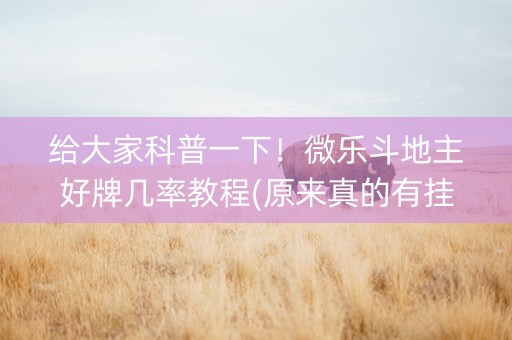 给大家科普一下！微乐斗地主好牌几率教程(原来真的有挂呢)