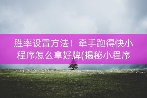 胜率设置方法！牵手跑得快小程序怎么拿好牌(揭秘小程序系统发好牌)