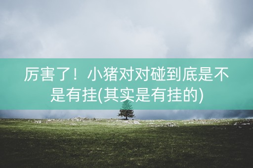 厉害了！小猪对对碰到底是不是有挂(其实是有挂的)