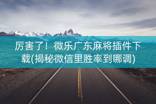厉害了！微乐广东麻将插件下载(揭秘微信里胜率到哪调)