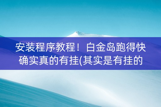 安装程序教程！白金岛跑得快确实真的有挂(其实是有挂的)