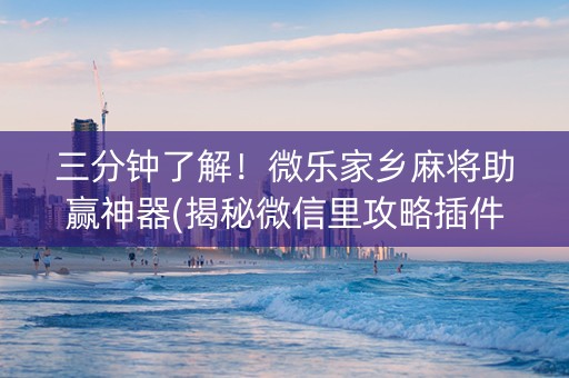 三分钟了解！微乐家乡麻将助赢神器(揭秘微信里攻略插件)