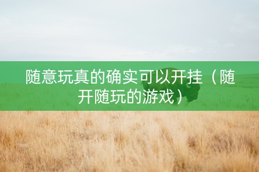 随意玩真的确实可以开挂（随开随玩的游戏）