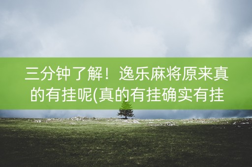 三分钟了解！逸乐麻将原来真的有挂呢(真的有挂确实有挂)