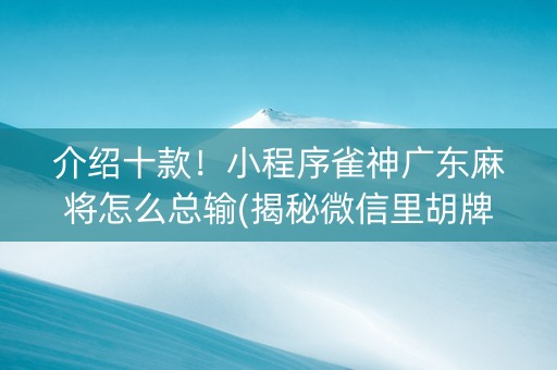 介绍十款！小程序雀神广东麻将怎么总输(揭秘微信里胡牌技巧)
