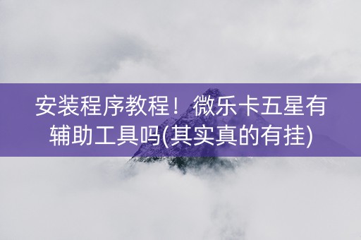 安装程序教程！微乐卡五星有辅助工具吗(其实真的有挂)