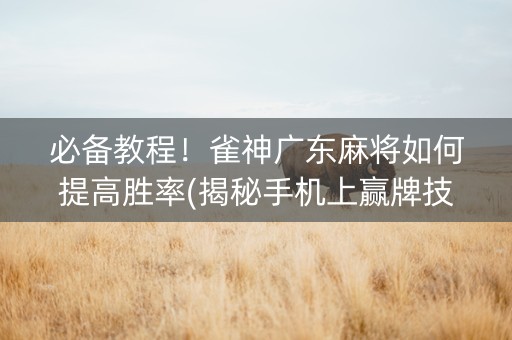 必备教程！雀神广东麻将如何提高胜率(揭秘手机上赢牌技巧)