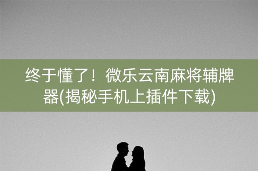 终于懂了！微乐云南麻将辅牌器(揭秘手机上插件下载)