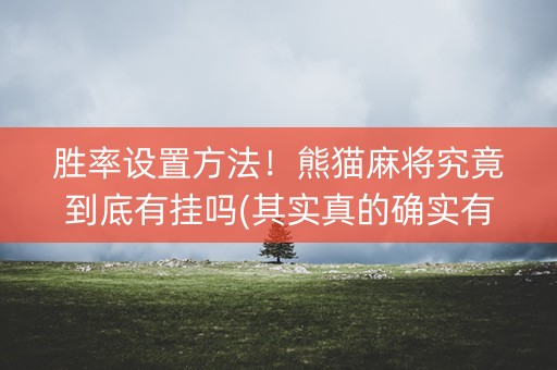 胜率设置方法！熊猫麻将究竟到底有挂吗(其实真的确实有挂)