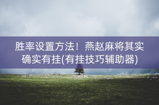胜率设置方法！燕赵麻将其实确实有挂(有挂技巧辅助器)