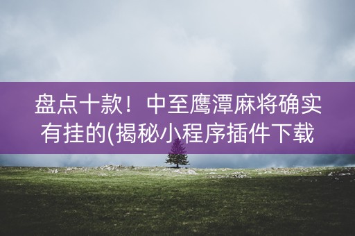 盘点十款！中至鹰潭麻将确实有挂的(揭秘小程序插件下载)