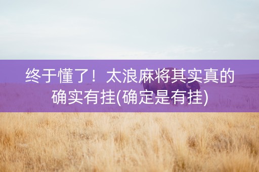 终于懂了！太浪麻将其实真的确实有挂(确定是有挂)