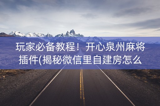 玩家必备教程！开心泉州麻将插件(揭秘微信里自建房怎么赢)