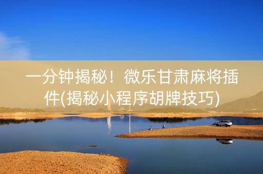 一分钟揭秘！微乐甘肃麻将插件(揭秘小程序胡牌技巧)