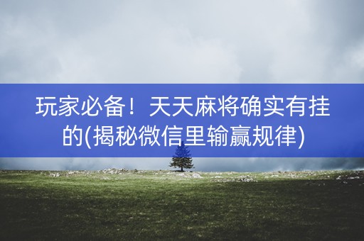 玩家必备！天天麻将确实有挂的(揭秘微信里输赢规律)