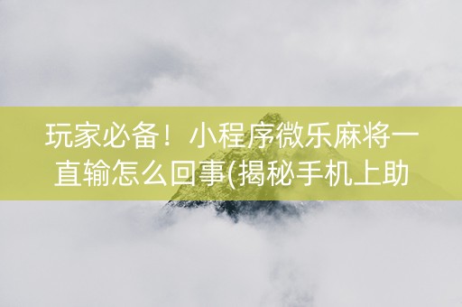 玩家必备！小程序微乐麻将一直输怎么回事(揭秘手机上助手软件)
