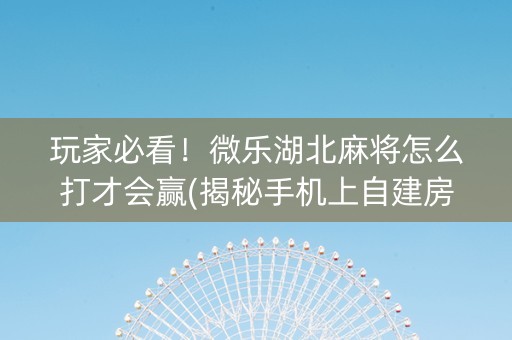 玩家必看！微乐湖北麻将怎么打才会赢(揭秘手机上自建房怎么赢)