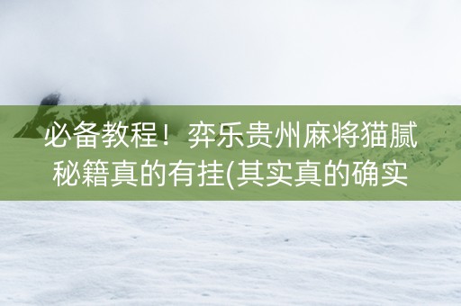 必备教程！弈乐贵州麻将猫腻秘籍真的有挂(其实真的确实有挂)