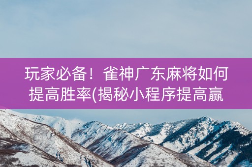 玩家必备！雀神广东麻将如何提高胜率(揭秘小程序提高赢的概率)