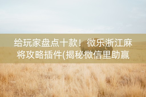 给玩家盘点十款！微乐浙江麻将攻略插件(揭秘微信里助赢神器购买)