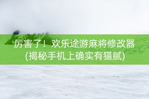 厉害了！欢乐途游麻将修改器(揭秘手机上确实有猫腻)