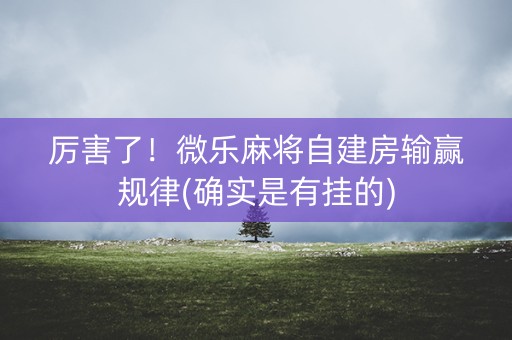 厉害了！微乐麻将自建房输赢规律(确实是有挂的)