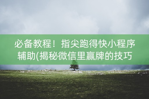必备教程！指尖跑得快小程序辅助(揭秘微信里赢牌的技巧)
