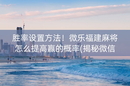 胜率设置方法！微乐福建麻将怎么提高赢的概率(揭秘微信里提高赢的概率)