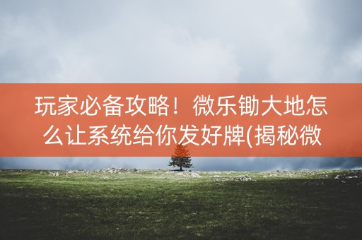 玩家必备攻略！微乐锄大地怎么让系统给你发好牌(揭秘微信里提高赢的概率)