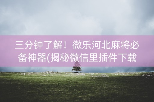 三分钟了解！微乐河北麻将必备神器(揭秘微信里插件下载)