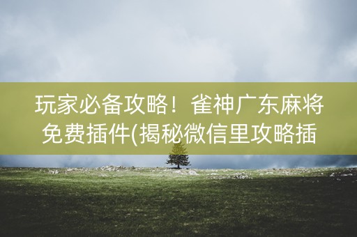玩家必备攻略！雀神广东麻将免费插件(揭秘微信里攻略插件)