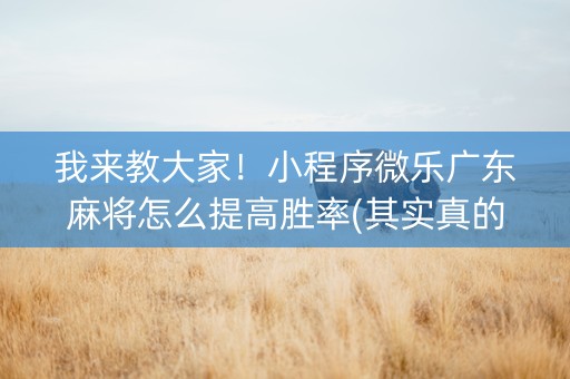 我来教大家！小程序微乐广东麻将怎么提高胜率(其实真的有挂)