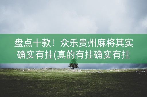 盘点十款！众乐贵州麻将其实确实有挂(真的有挂确实有挂)
