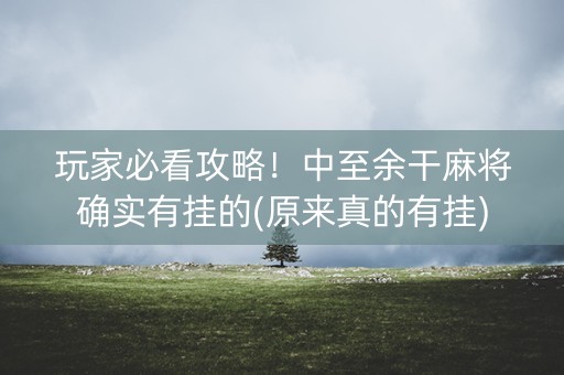 玩家必看攻略！中至余干麻将确实有挂的(原来真的有挂)