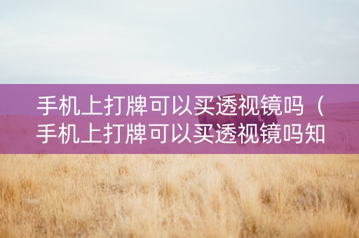 手机上打牌可以买透视镜吗（手机上打牌可以买透视镜吗知乎）